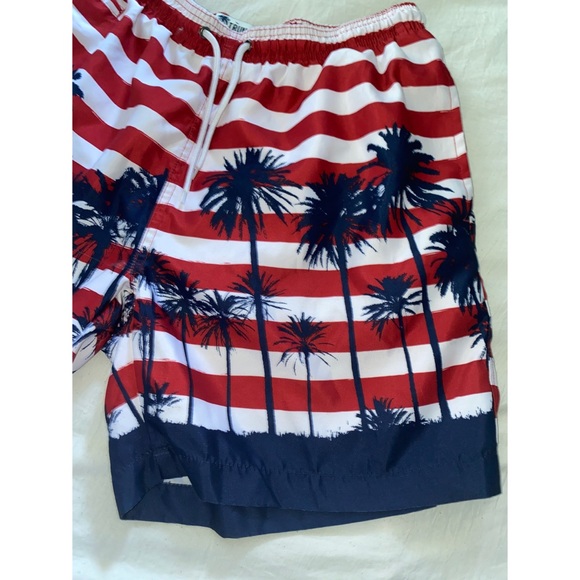 Trunks Surf & Swim Co Sano Swim Stripe Shorts- - Picture 6 of 16